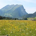 Gaemsle - Rueckzugsort In Den Bergen Hotel 3*