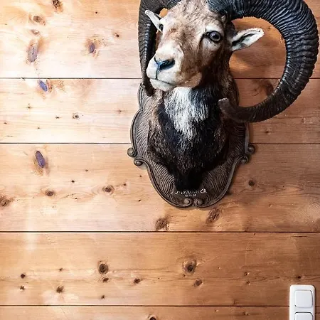 Gaemsle - Rueckzugsort In Den Bergen 3*