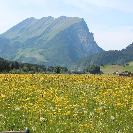 Gaemsle - Rueckzugsort In Den Bergen ホテル 3*
