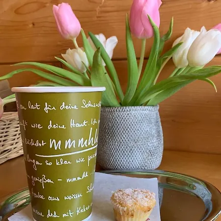 Hotel Gaemsle - Rueckzugsort In Den Bergen Schoppernau