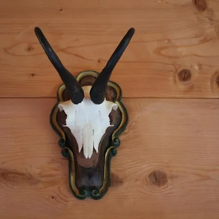 Gaemsle - Rueckzugsort In Den Bergen